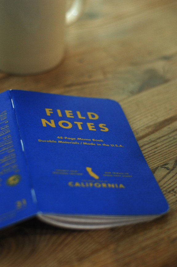 fieldnotes